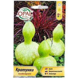 Семена декоративни кратунки