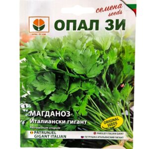 Семена за Магданоз Италиански гигант