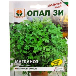 Семена за Магданоз листен Комун