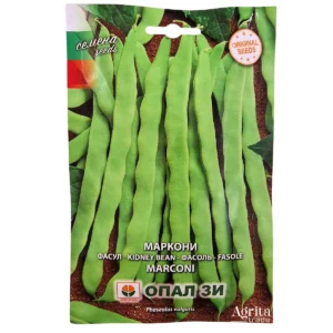 Фасул Маркони