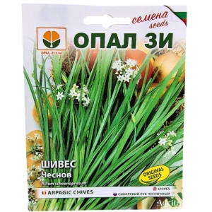 Семена Шивес чеснов