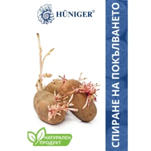 Натурален продукт спира покълването на картофите